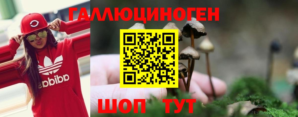 Псилоцибиновые грибы Magic Shrooms Гуково